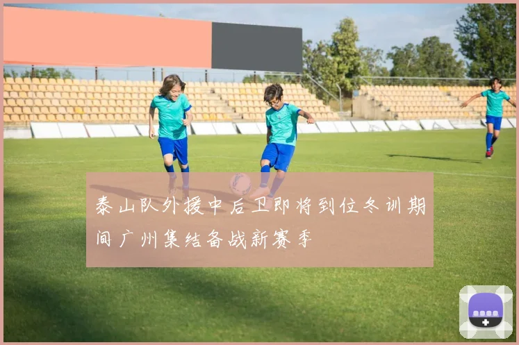 泰山队外援中后卫即将到位冬训期间广州集结备战新赛季