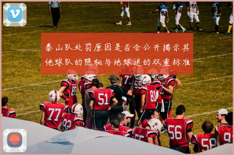 泰山队处罚原因是否会公开揭示其他球队的隐秘与地球迷的双重标准